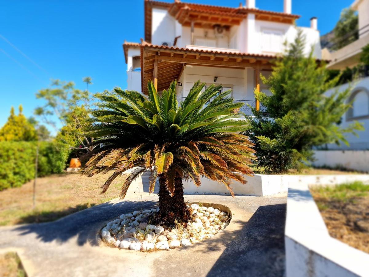 Villa Liana : Luxury Villa With Fantastic Sea View, Near Airport Porto Rafti Luaran gambar