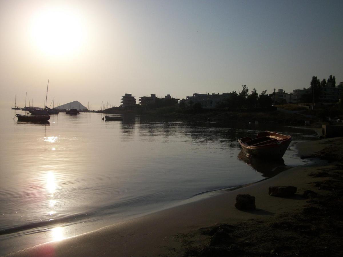 Villa Liana : Luxury Villa With Fantastic Sea View, Near Airport Porto Rafti Luaran gambar