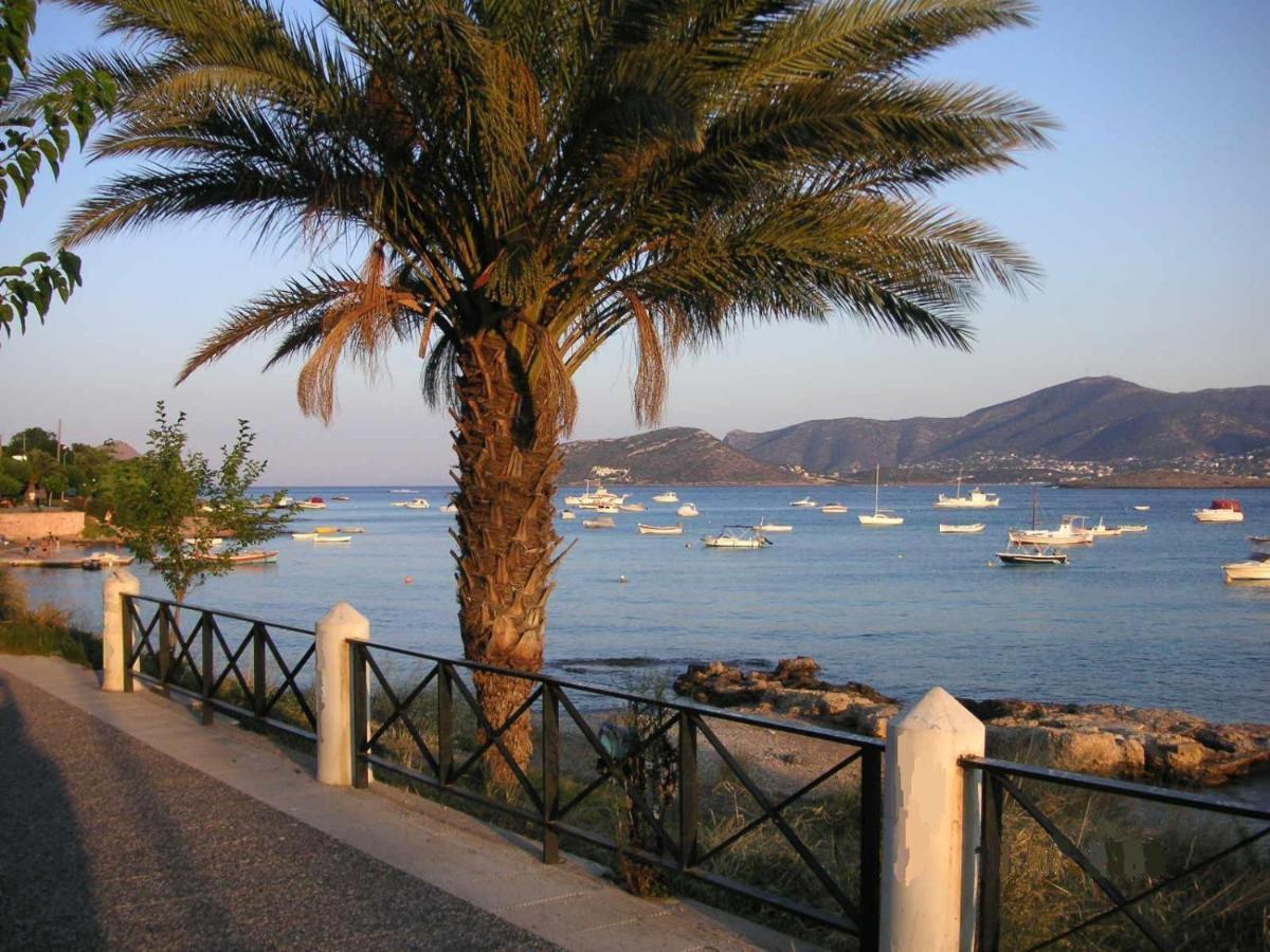 Villa Liana : Luxury Villa With Fantastic Sea View, Near Airport Porto Rafti Luaran gambar
